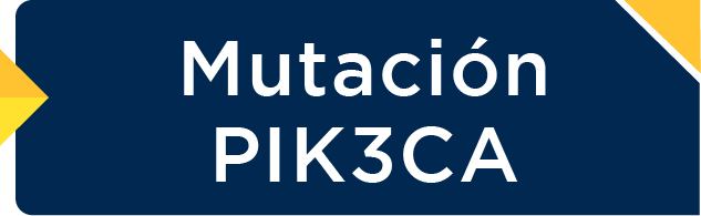 Mutación PIK3CA