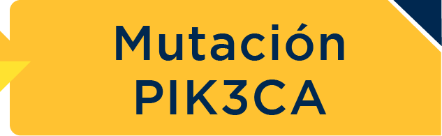 Mutación PIK3CA