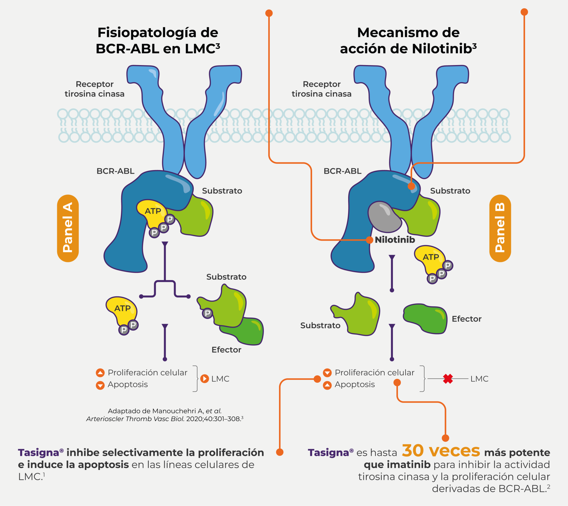 diagramas